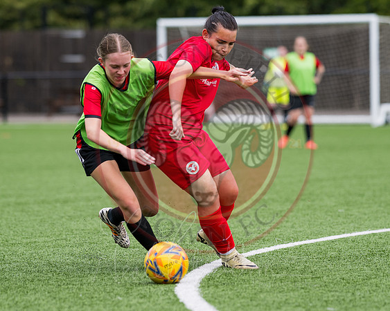 Womens Tournament (46 of 361)