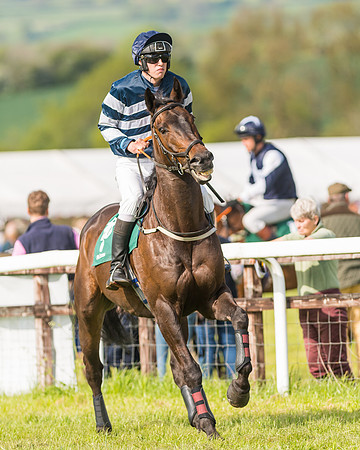 Race 5 - Restricted  (24 of 164)