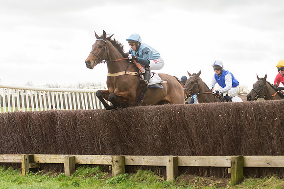 Race 2 - Young Horse Maiden (48 of 110).jpg