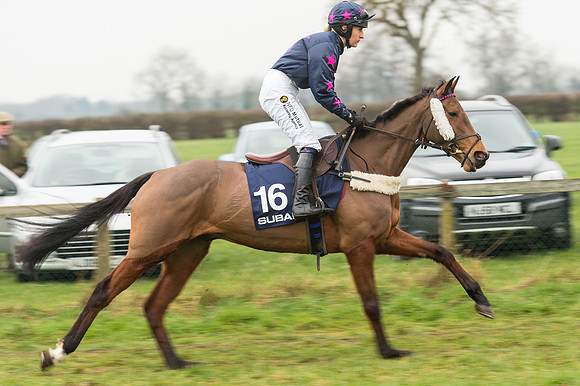 Race 5 - The Restricted Race (21 of 86).jpg