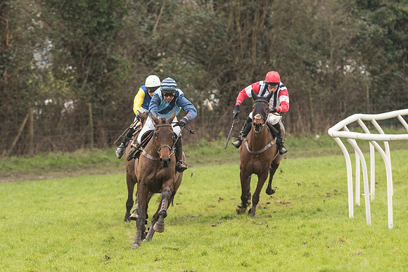 Race 1 - Young Horse Maiden (30 of 50).jpg