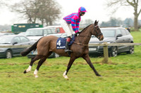Race 5 - The Restricted Race (9 of 86).jpg