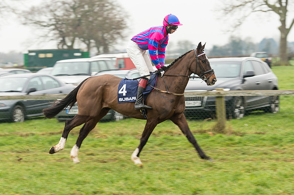 Race 5 - The Restricted Race (9 of 86).jpg