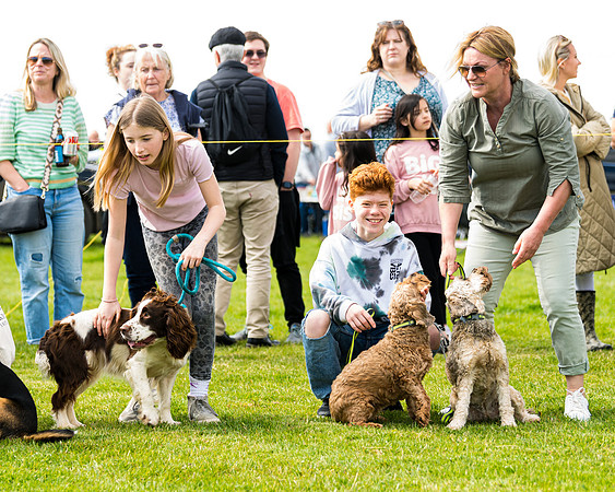 Dog show etc (46 of 157)