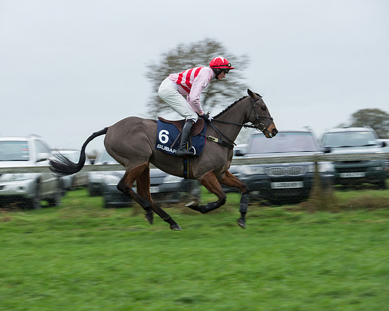Race 4 - Restricted (5 of 58).jpg