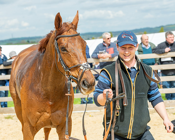 Race 2 - ROR and veteran Horse Conditions race (63 of 77)