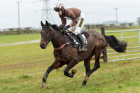 Race 6 - Open Maiden Race Div 1  (5 of 90).jpg