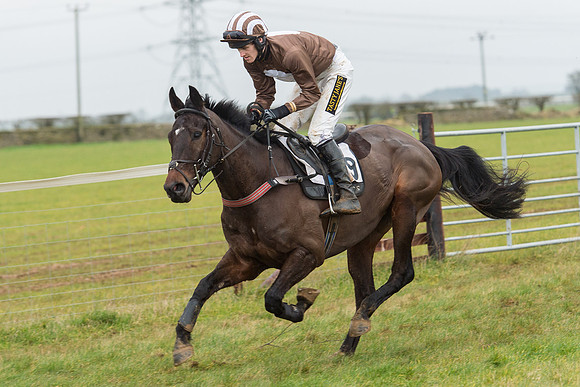 Race 6 - Open Maiden Race Div 1  (5 of 90).jpg