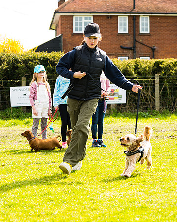 Dog show etc (64 of 157)