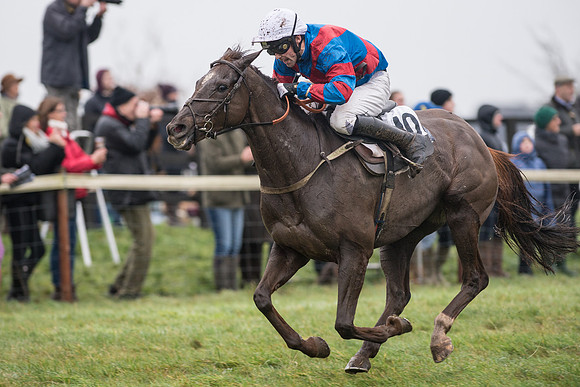Race 5 - The Intermediate (51 of 59).jpg