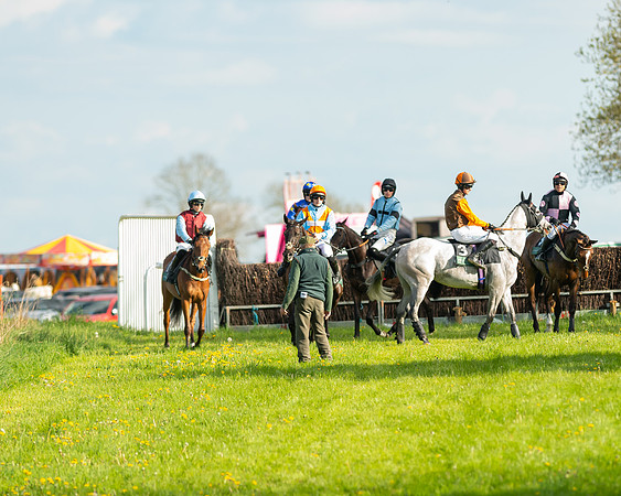 Race 7 - Maiden  (29 of 113)