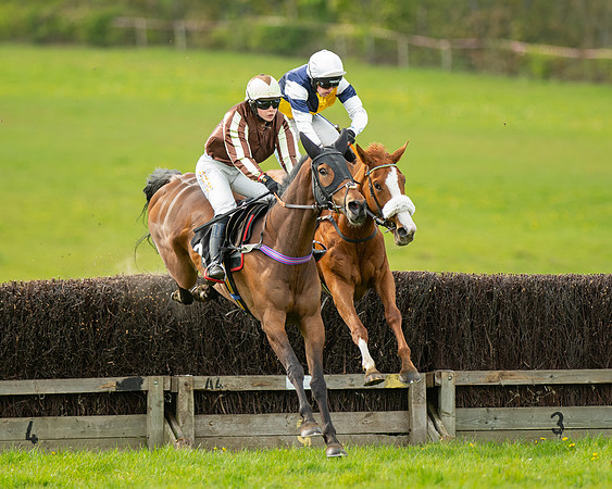 Race 5 - Open Maiden  (37 of 89)