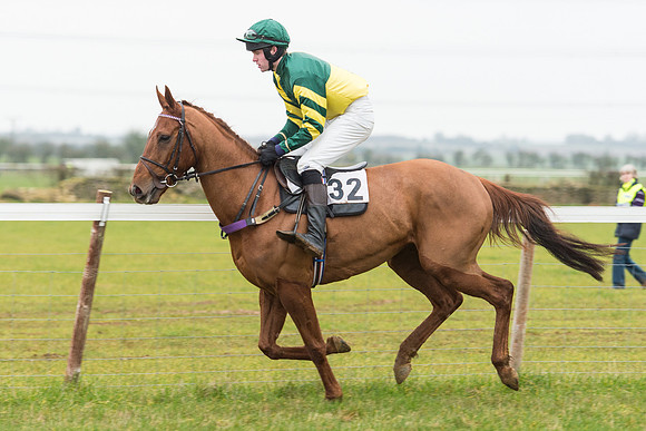 Race 6 - Open Maiden Race Div 2  (32 of 118).jpg