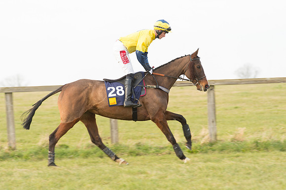 Race 6 Div 1 - Open Maiden  (11 of 116).jpg