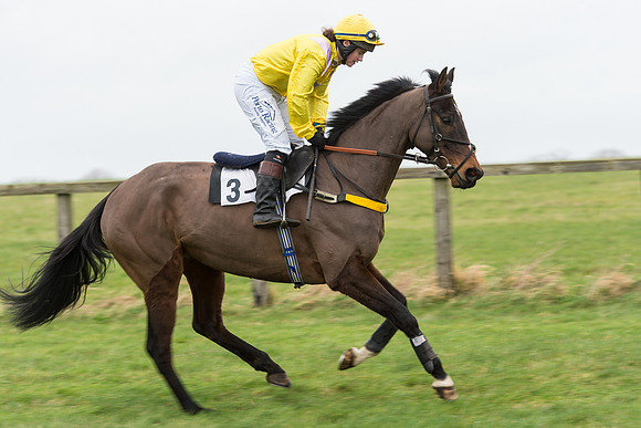 Race 7 - Open Maiden (5 of 131).jpg