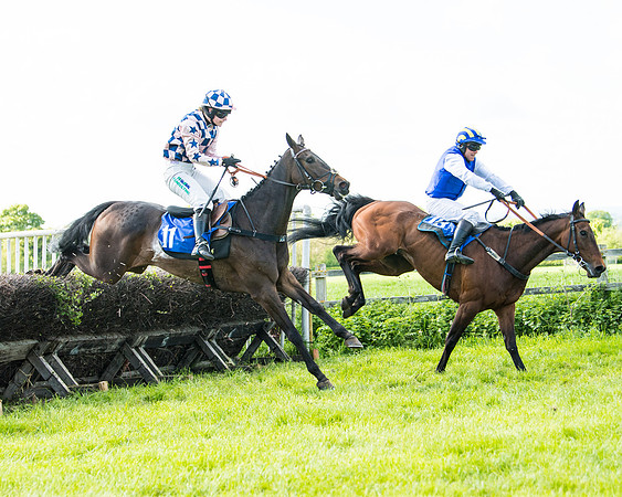 Race 5 - 2m5f Maiden (98 of 144)
