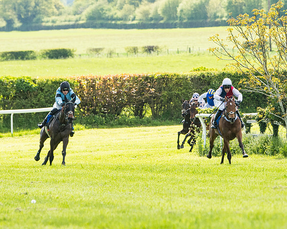 Race 5 - 2m5f Maiden (81 of 144)