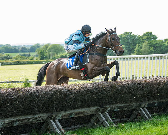 Race 6 - Open Maiden (164 of 346)