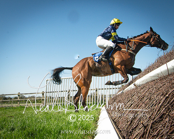 Race 5 - The restricted (100 of 113)