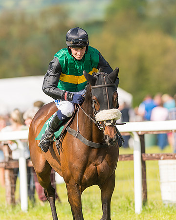 Race 5 - Restricted  (37 of 164)