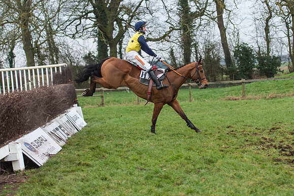 Race 7 - Young Horse Maiden  (54 of 64).jpg
