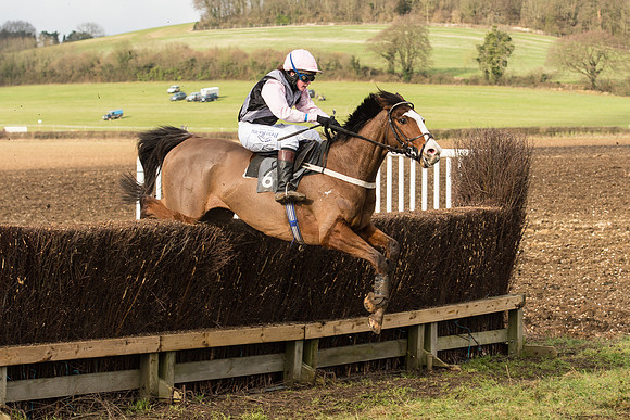 Race 4 - Ladies Open (61 of 71).jpg