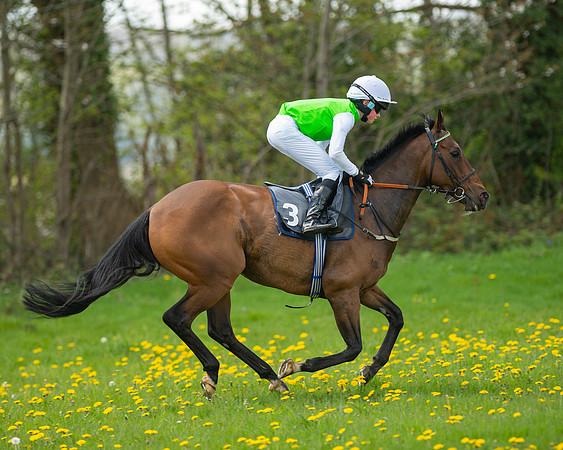 Ponies and Side saddle (42 of 69)