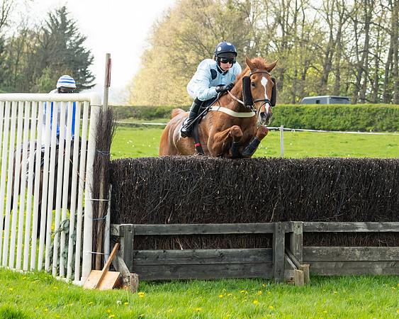 Race 2 - Veteran Horse  (58 of 82)