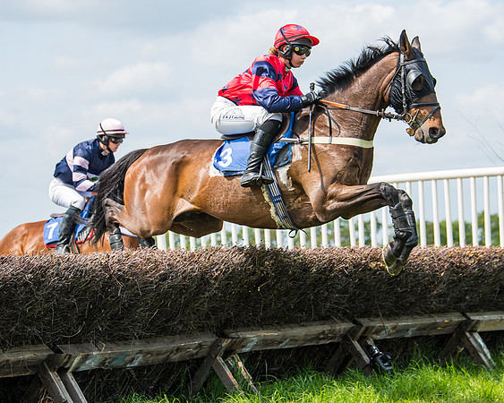 Race 2 - PPORA Novice Riders (203 of 444)