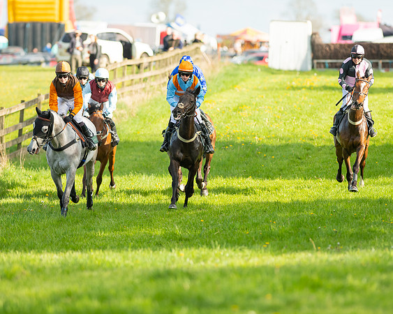 Race 7 - Maiden  (38 of 113)
