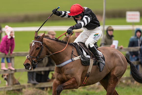 Race 7 - Open Maiden (111 of 131).jpg