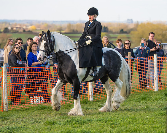 Side Saddle dash  (6 of 170)