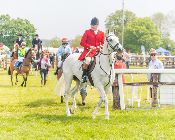 Pony Race 1 - 138cm (6 of 74)