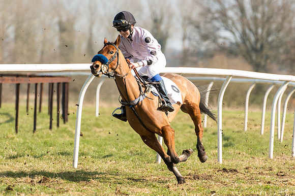 Pony Race 2 - 138 -  (28 of 28).jpg