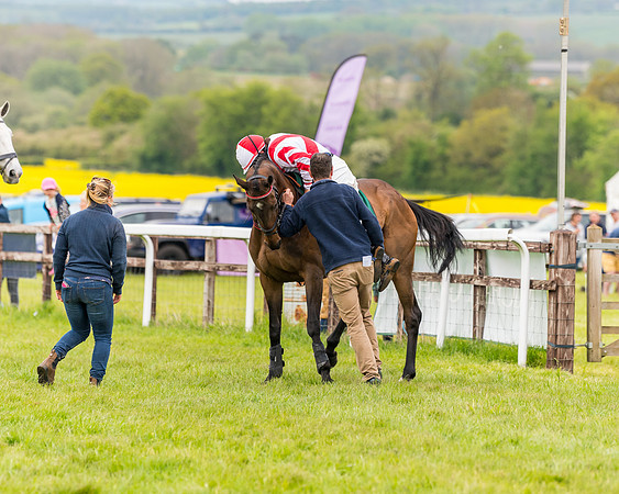 Race 7 - Veteran Horse conditions (41 of 244)