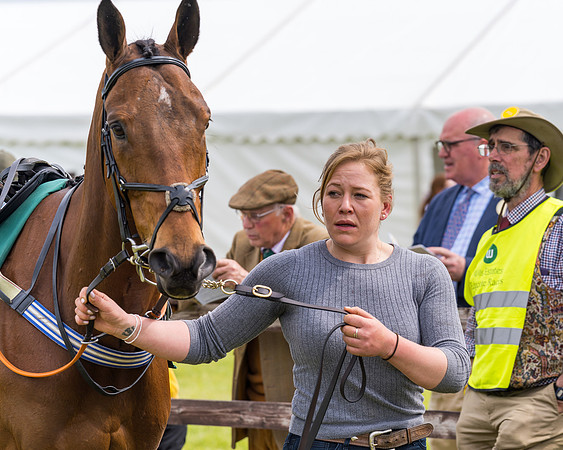 Race 2 - Owner-Trainer Conditions  (16 of 208)
