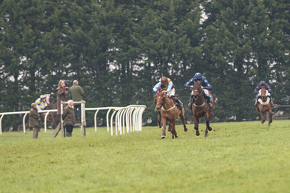 Race 5 - The Restricted Race (58 of 86).jpg