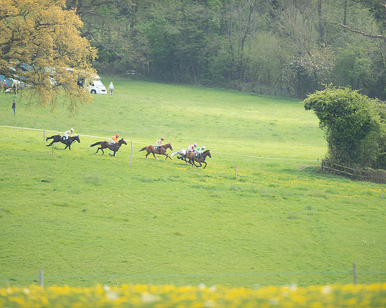 Ponies and Side saddle (33 of 69)