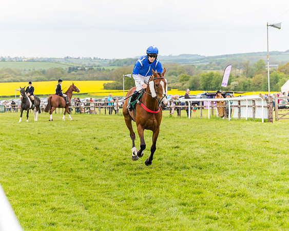 Race 7 - Veteran Horse conditions (54 of 244)