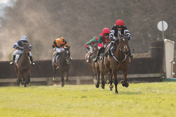 Race 5 - Restricted Race (64 of 98).jpg