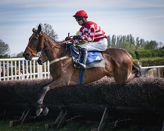 Race 5 - The 5G Restricted Race (26 of 56)