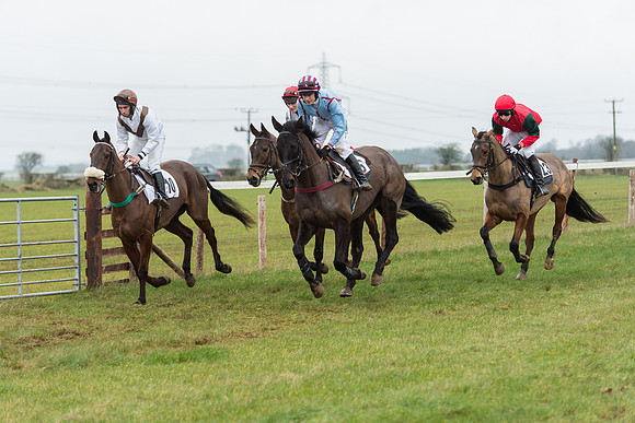 Race 6 - Open Maiden Race Div 1  (27 of 90).jpg