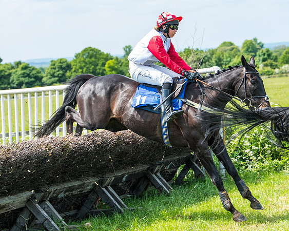 Race 1 - The Little Red owner Trainer conditions (241 of 345)