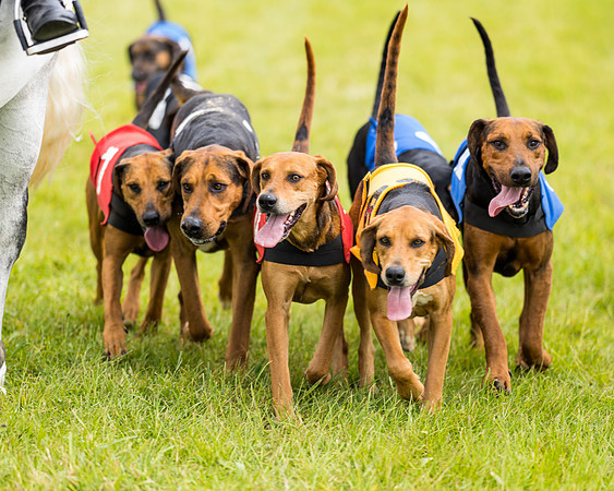 Draghounds Race (52 of 212)