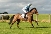 Race 2 - Young Horse Maiden (3 of 110).jpg