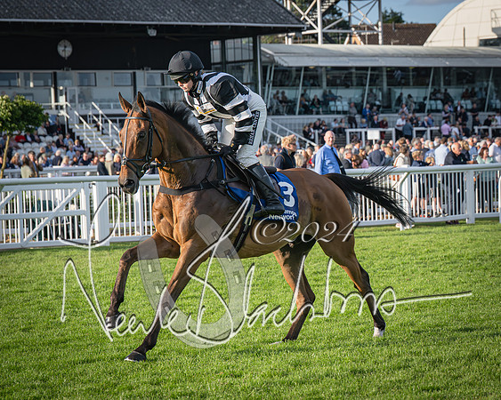 Race 4 - Peretemps Stratford Foxhunters (40 of 168)