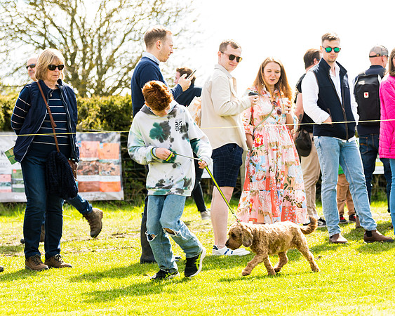 Dog show etc (73 of 157)