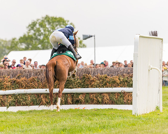 Race 2 - Owner-Trainer Conditions  (86 of 208)