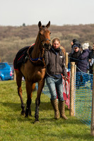 Race 1 - Div 1 - Young Horse Maiden (3 of 90).jpg