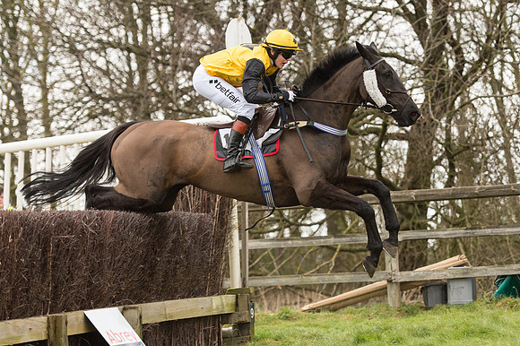 Race 2 - PPORA Novice riders  (160 of 186).jpg